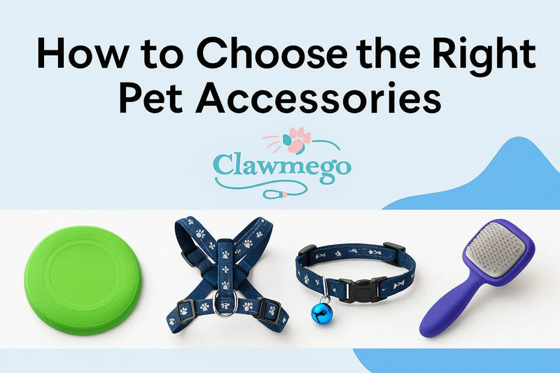 A Complete Guide to Choosing Safe & Stylish Pet Accessories for Dogs & Cats - Clawmego