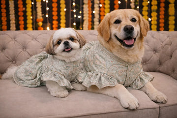 Ethnic wear / Festival collection - Clawmego