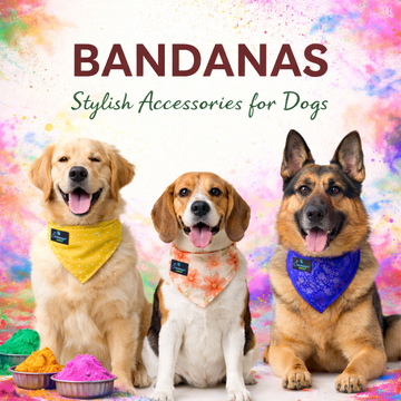 Stylish Dog Bandanas – Clawmego Pet Accessories