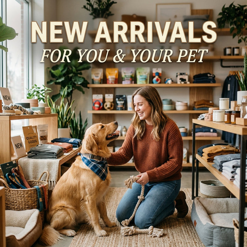 New Arrivals