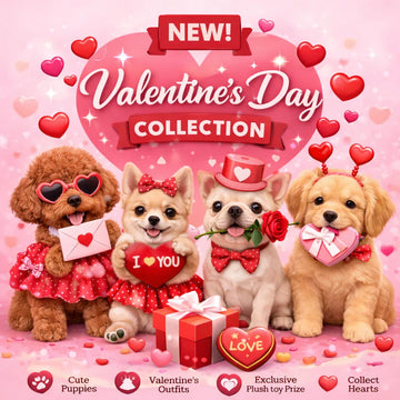 Valentines Collection - Clawmego