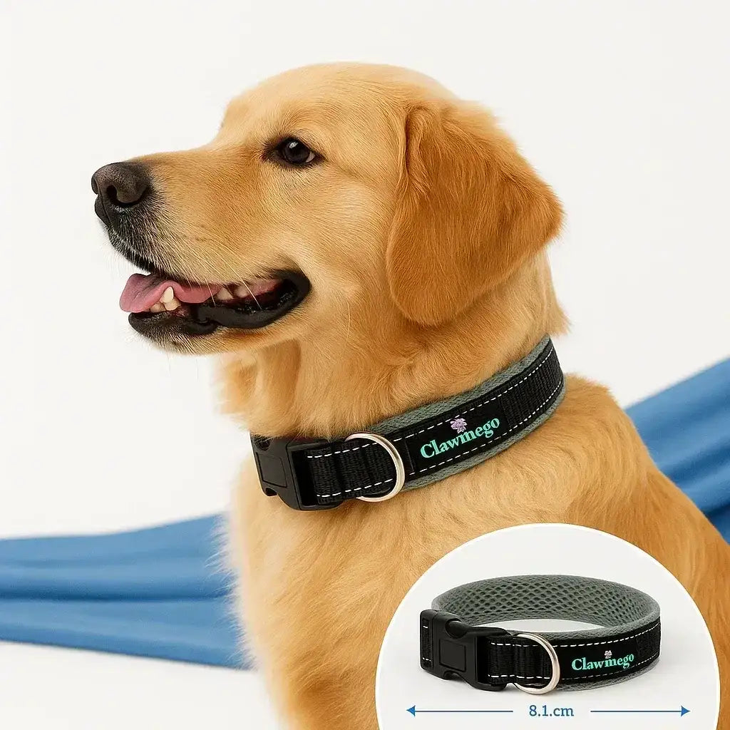 Adjustable Padded Dog Collar – Reflective, Comfort Fit - Clawmego