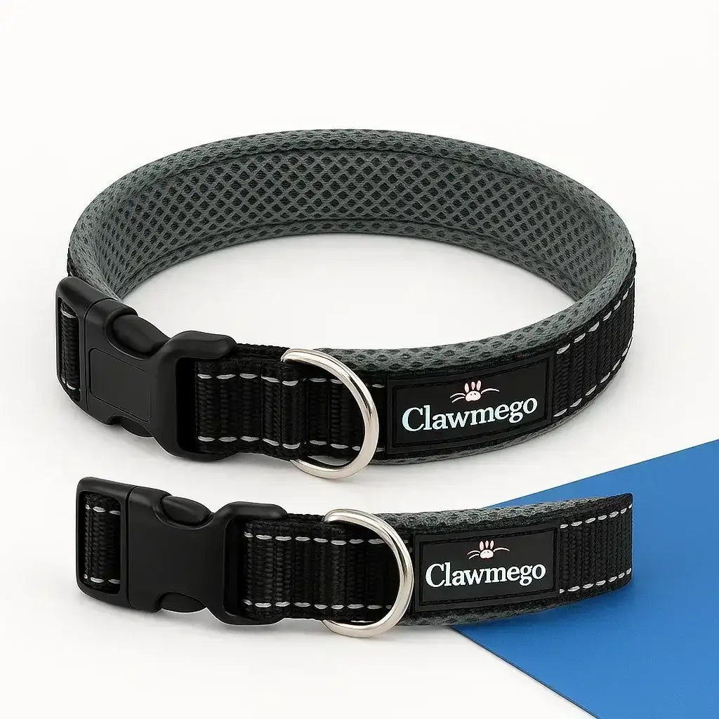Adjustable Padded Dog Collar – Reflective, Comfort Fit - Clawmego
