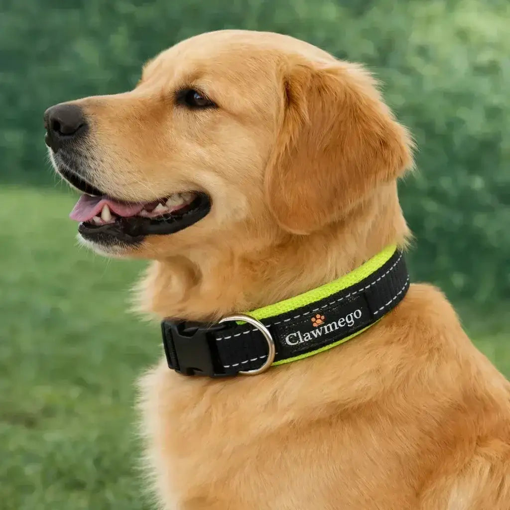 Adjustable Padded Dog Collar – Reflective, Comfort Fit - Clawmego