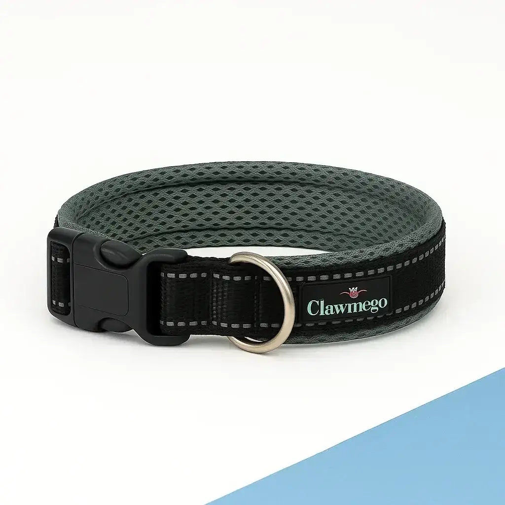 Adjustable Padded Dog Collar – Reflective, Comfort Fit - Clawmego