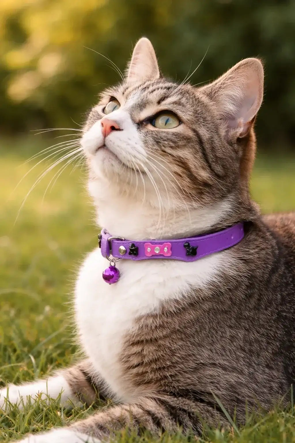 Adjustable Soft Silicone Cat/Puppy Collar with Bell – Lightweight & Waterproof