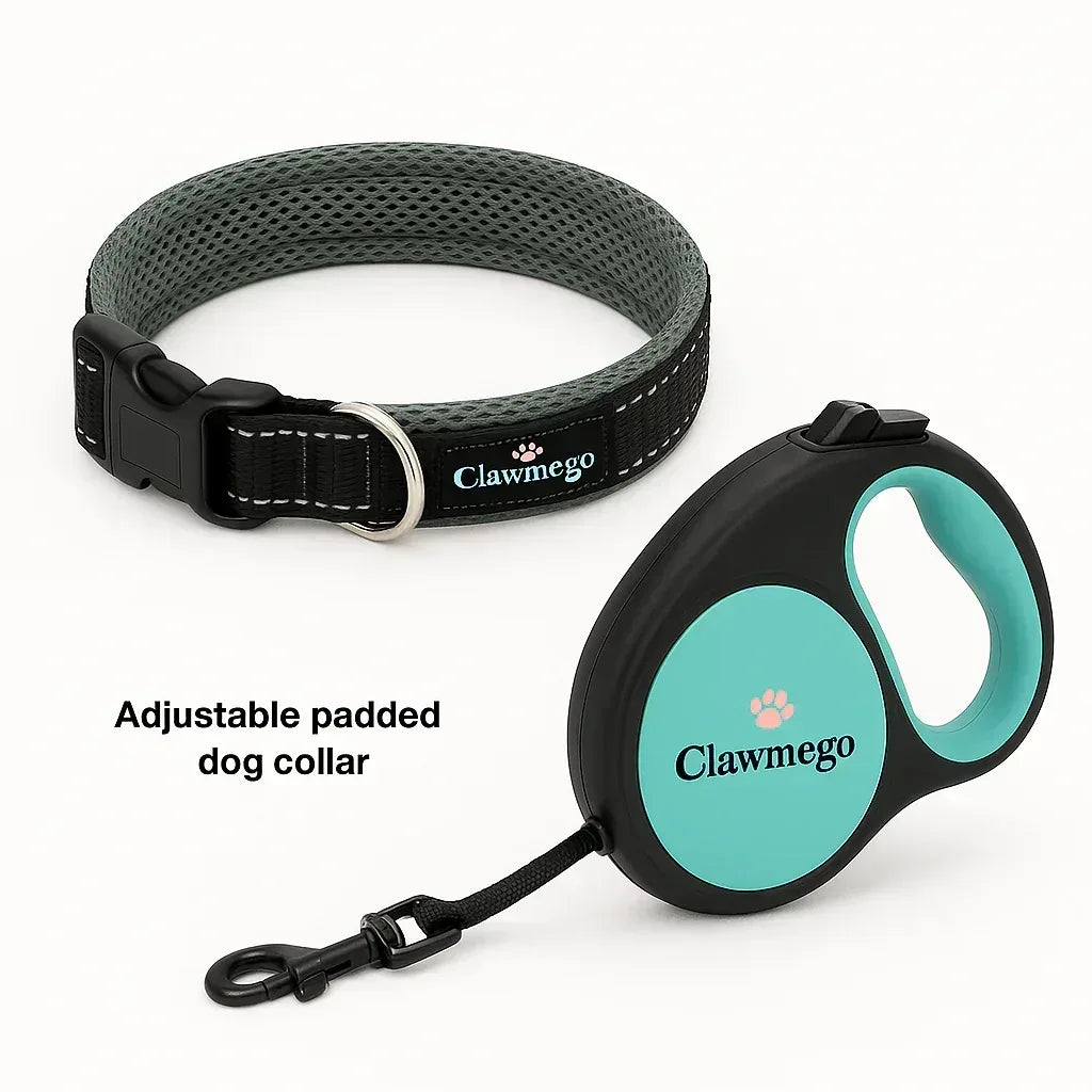 Daily Walk Starter Kit – Adjustable Dog Collar & Retractable Pet Leash - Clawmego