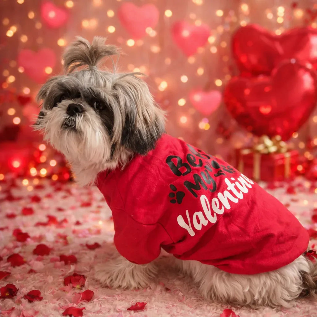 Clawmego Be My Valentine Pet Sweatshirt – Red Dog & Cat Shirt - Clawmego