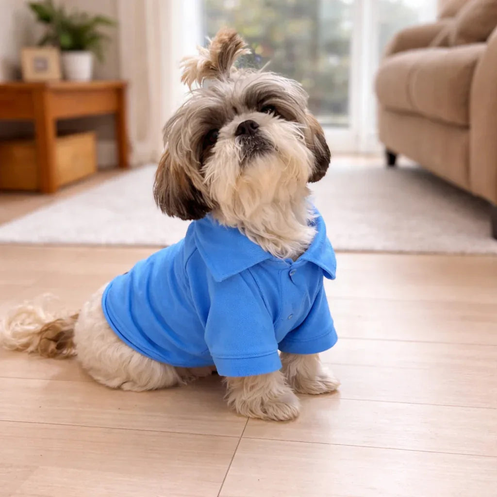 Clawmego Classic Polo Half Sleeve Dog T-Shirt – Soft Pet Tee - Clawmego