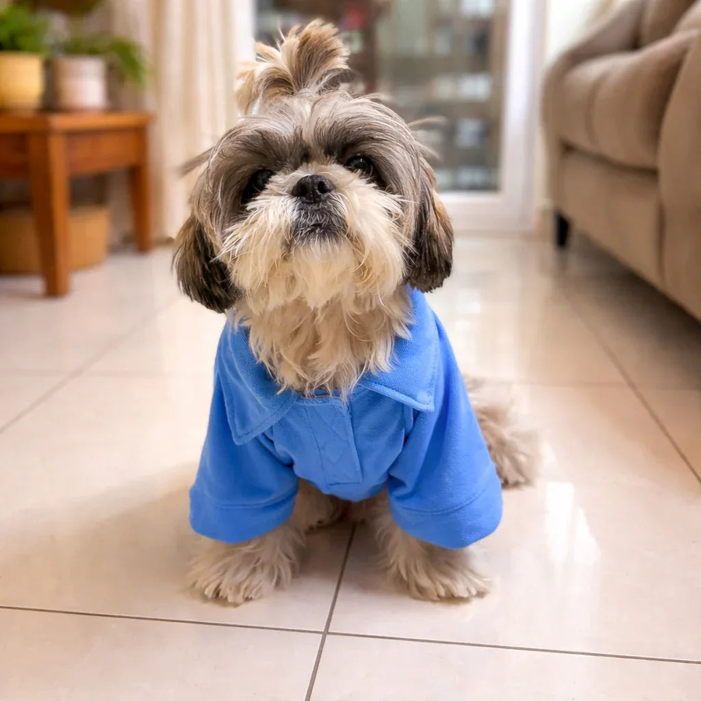 Clawmego Classic Polo Half Sleeve Dog T-Shirt – Soft Pet Tee - Clawmego