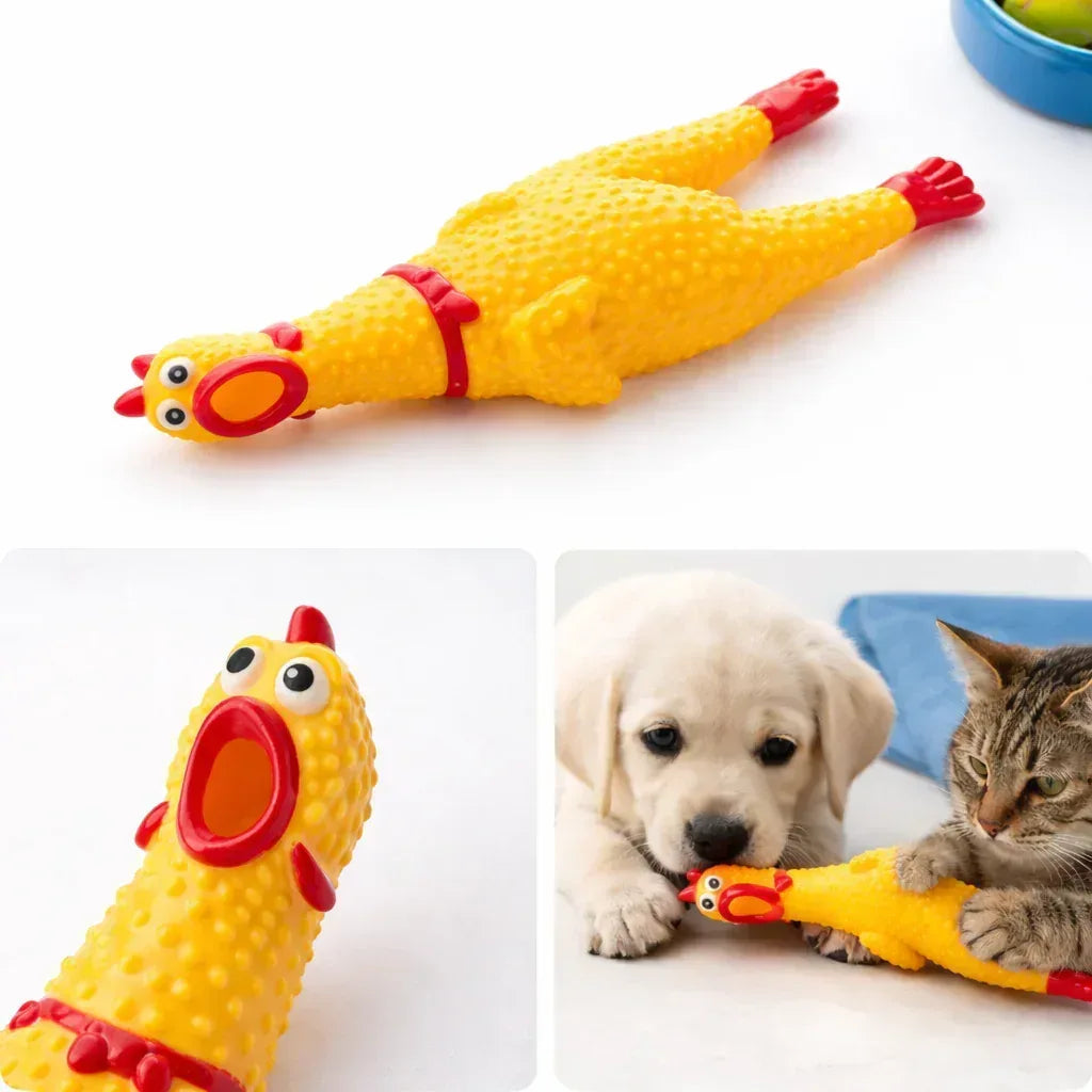 Interactive Screaming Rubber Chicken Toy – Durable Pet Chew - Clawmego