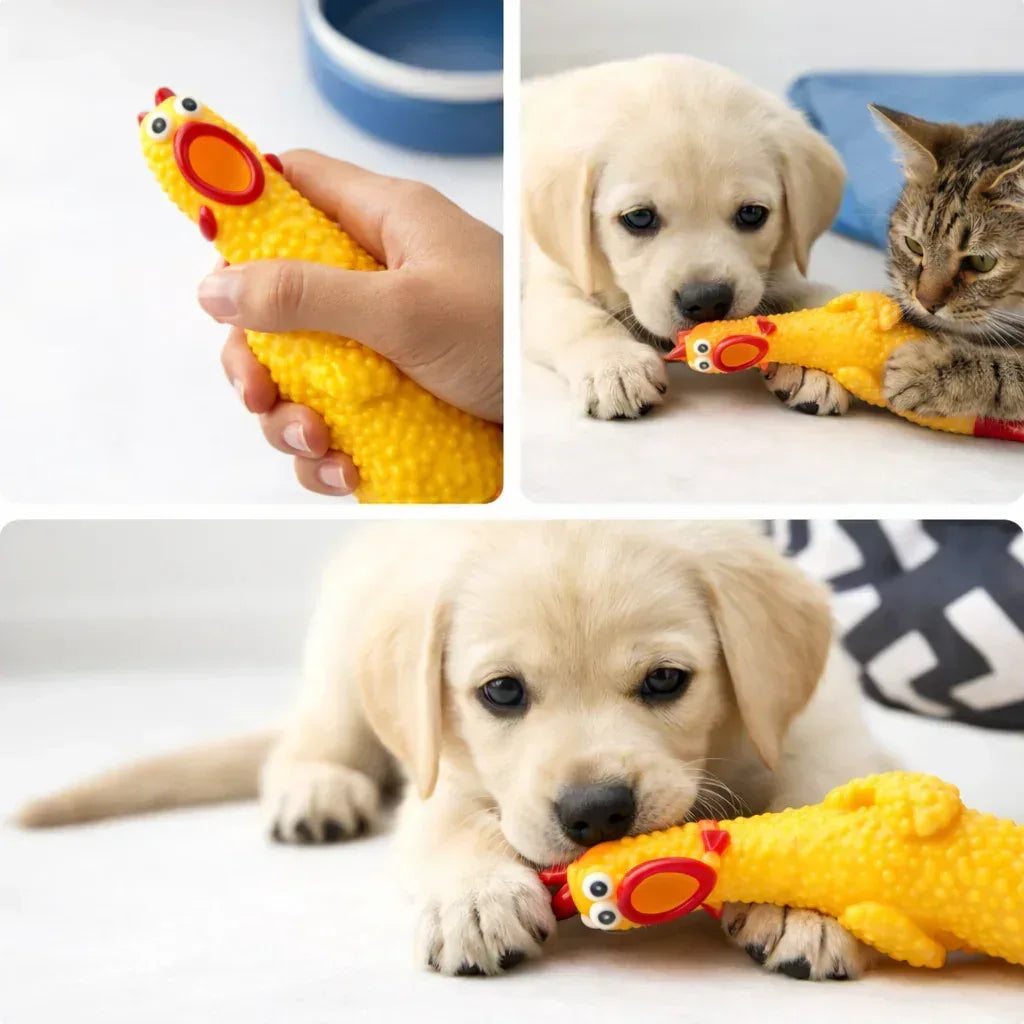 Interactive Screaming Rubber Chicken Toy – Durable Pet Chew - Clawmego