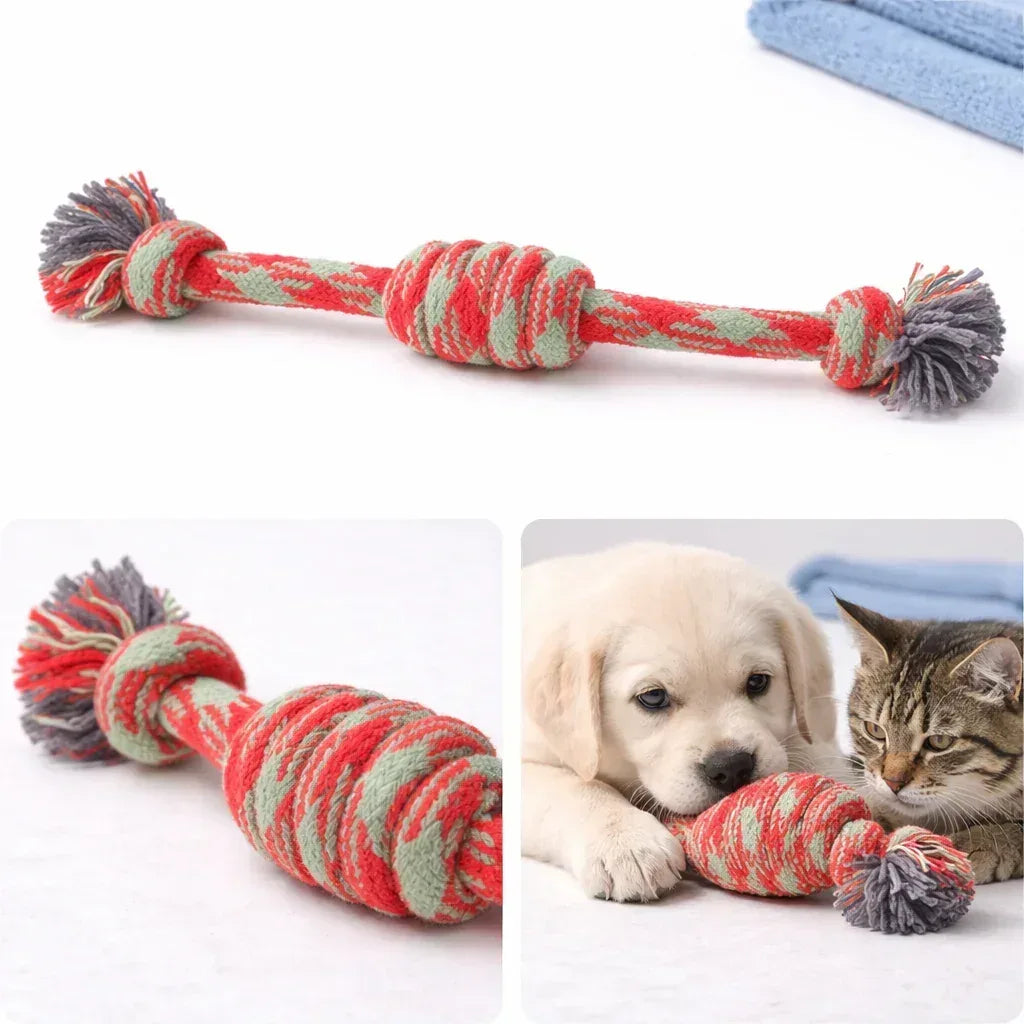Trixie Denta Fun Playing Rope Toy – Dental Chew - Clawmego