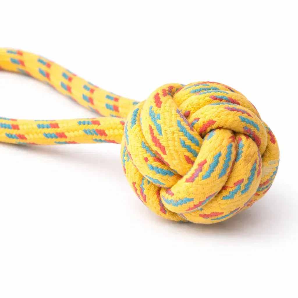 Chew Rope Ball Handle Toy – Strong Tug & Dental Chew - Clawmego