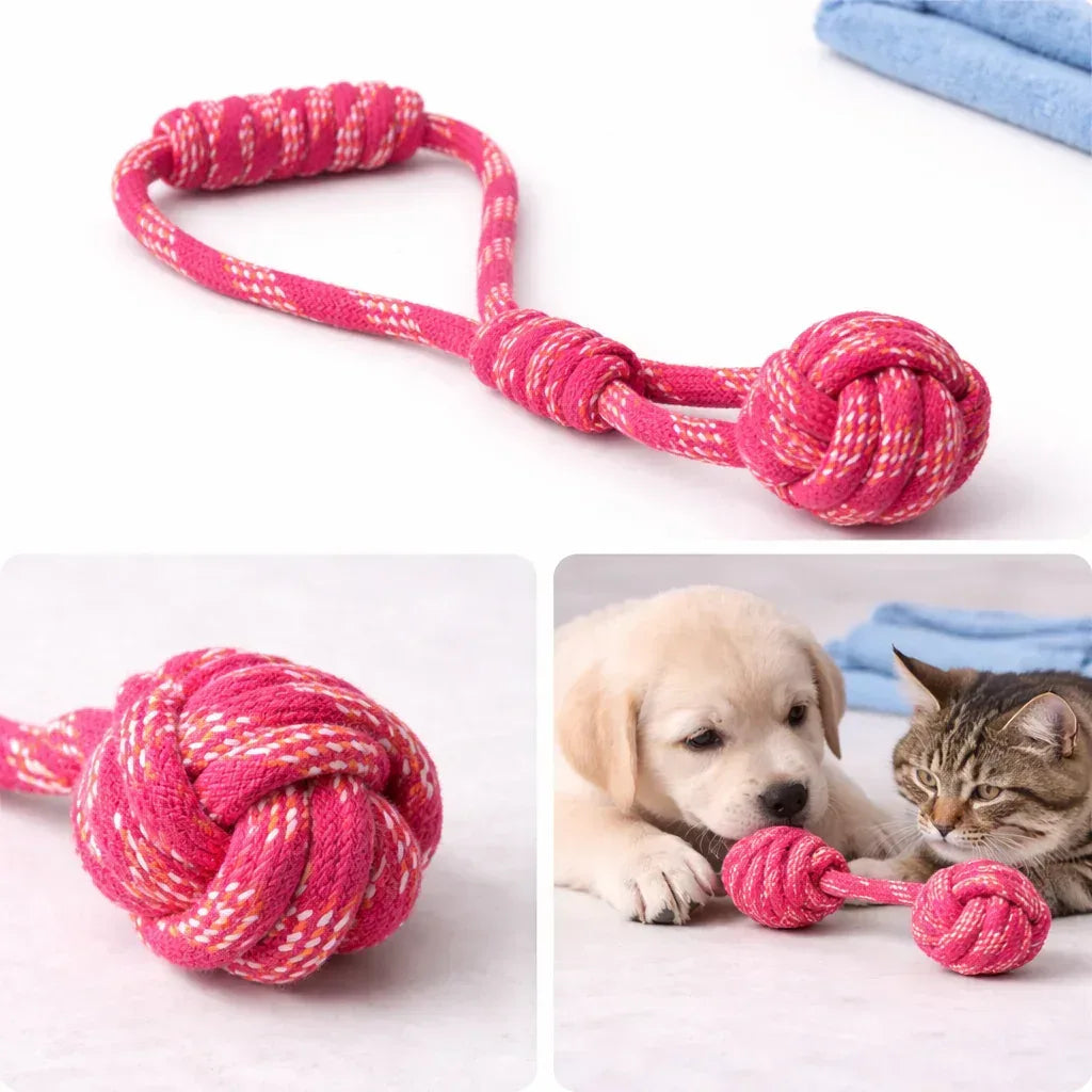 Rope Handle Toy with Double Knotted Balls - Clawmego