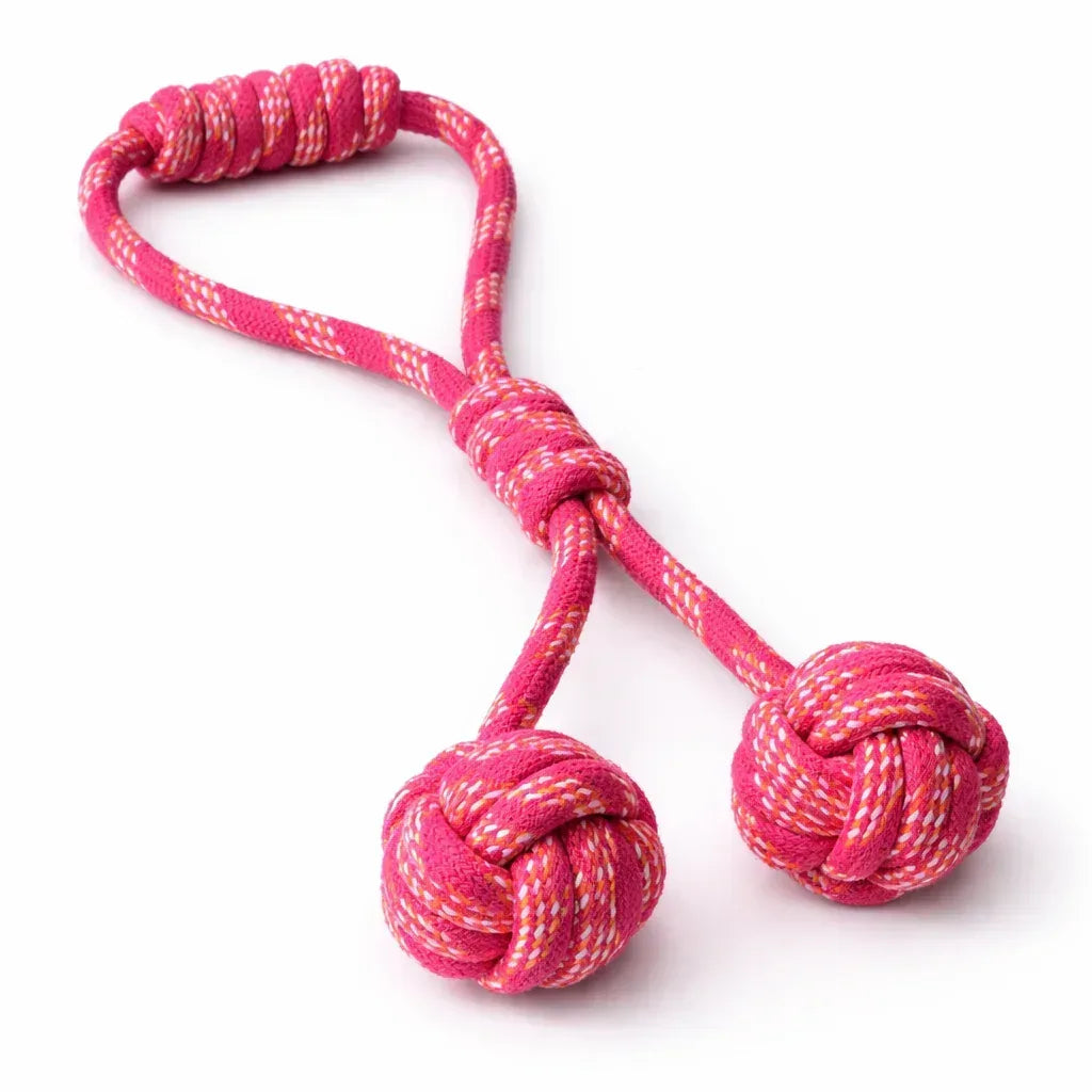 Rope Handle Toy with Double Knotted Balls - Clawmego