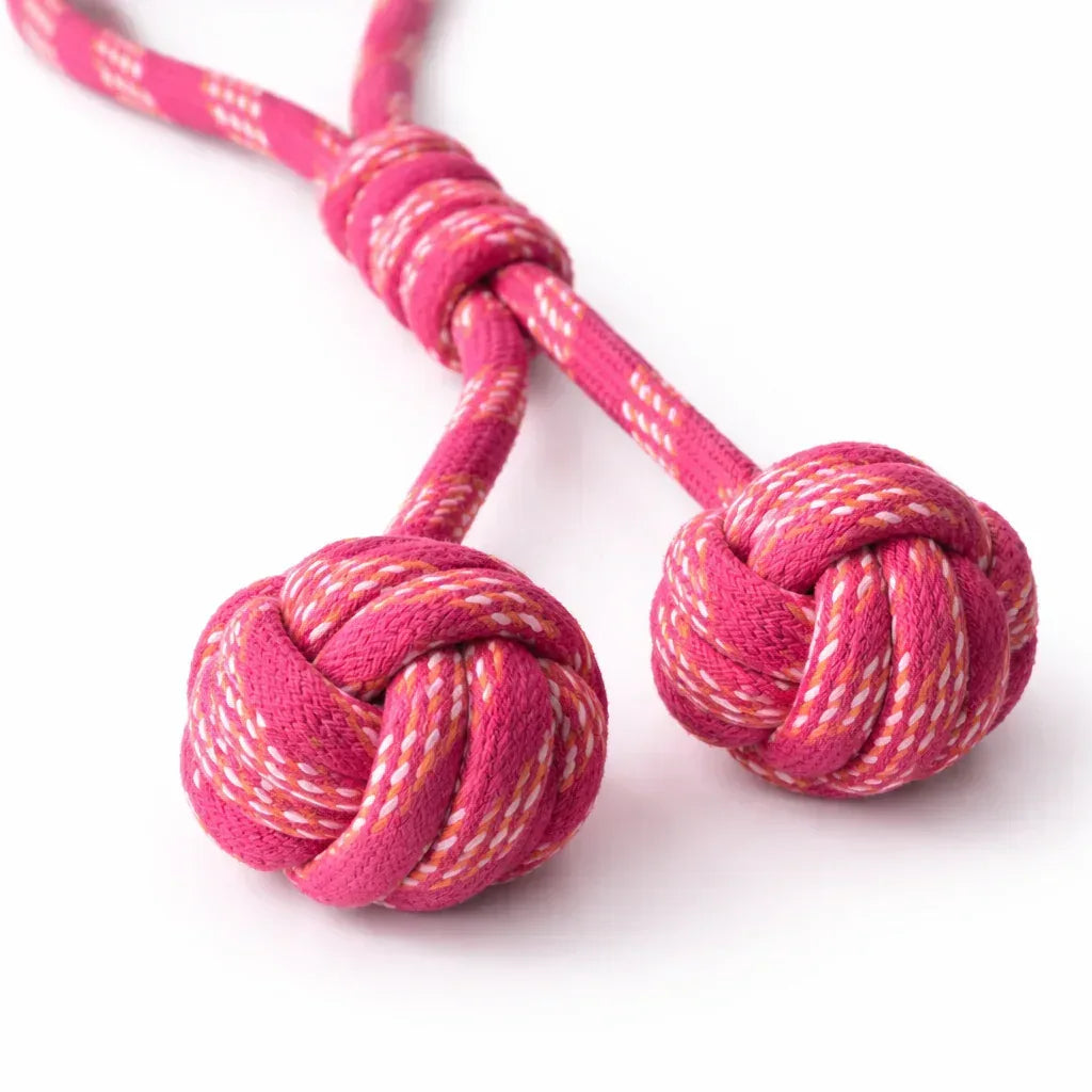 Rope Handle Toy with Double Knotted Balls - Clawmego