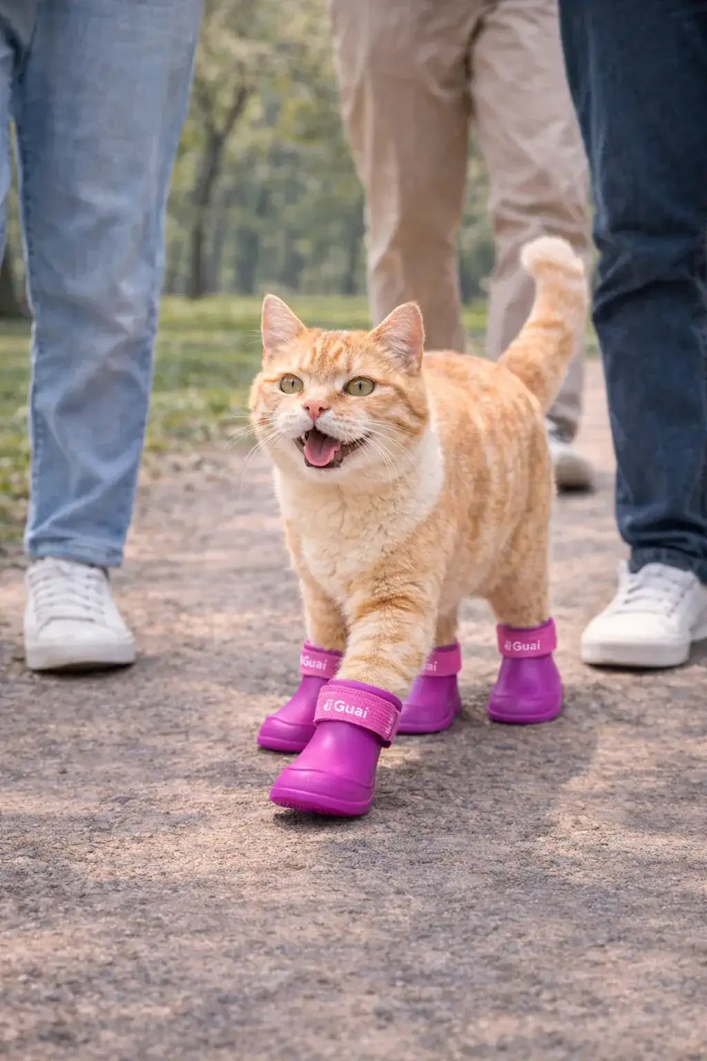 Comfort-Fit Pet Silicone Shoes | Adjustable, Waterproof, Anti Slip