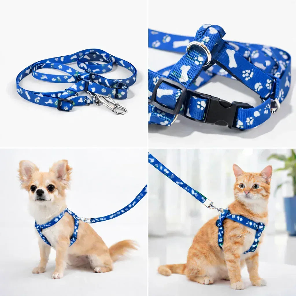 Stylish Paw Print Harness & Leash for Dogs & Cats – Adjustable & Safe - Clawmego