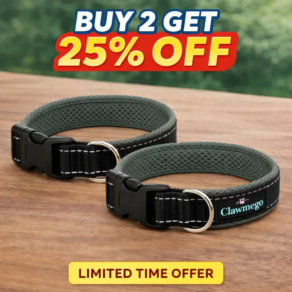 Adjustable Padded Dog Collar – Reflective, Comfort Fit Pet Accessory Sale - Clawmego