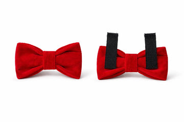Clawmego Valentine Bow Tie for Dogs & Cats – Adjustable Comfort Fit - Clawmego
