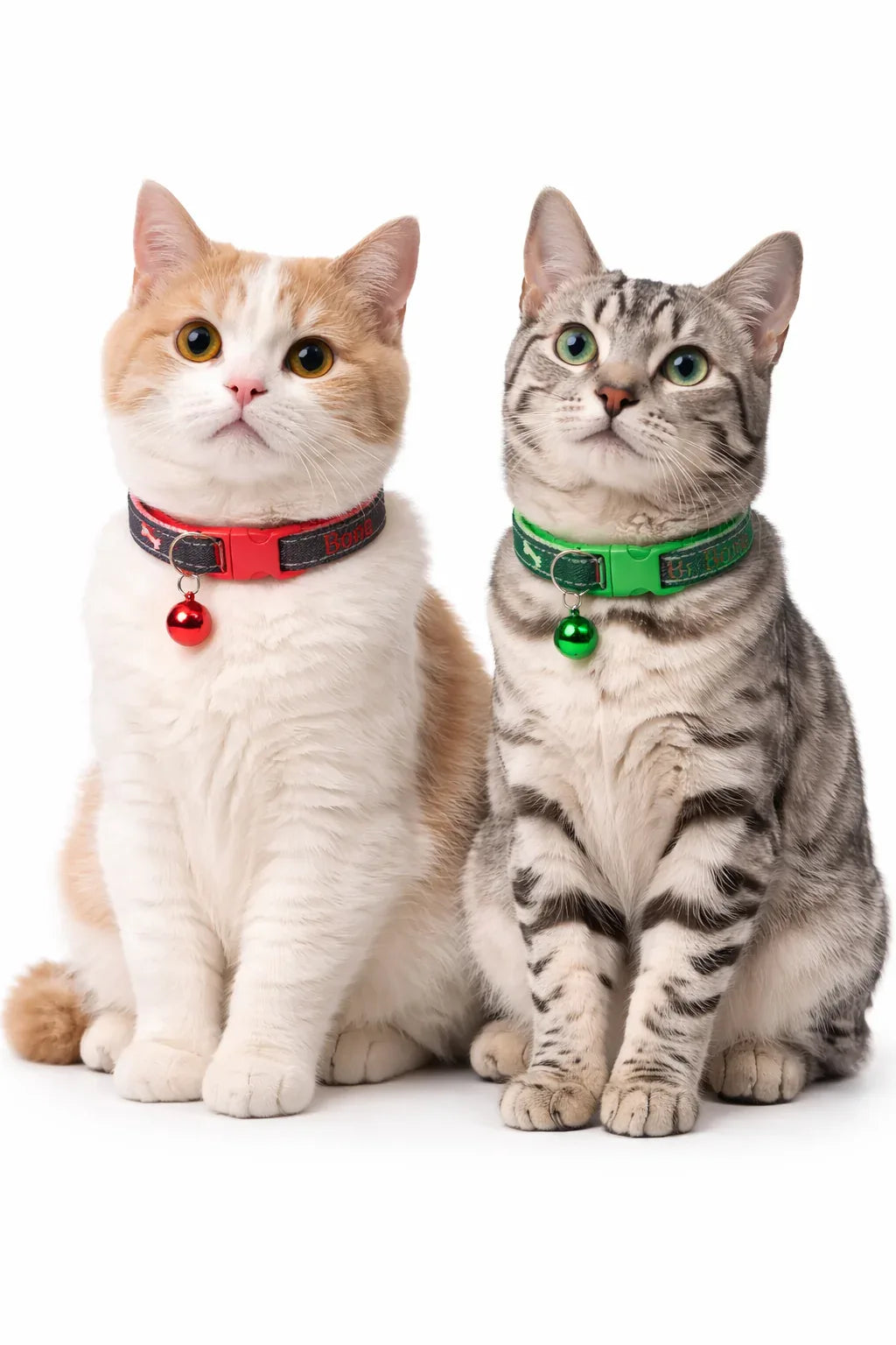 Denim Cat & Puppy Collar with Bones Print – Adjustable, Safe & Comfort Fit - Clawmego