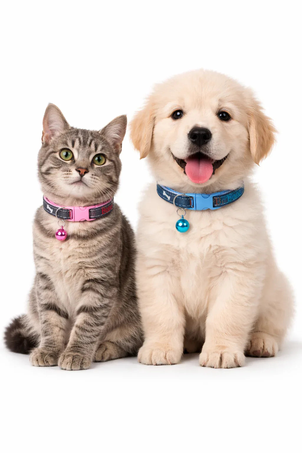 Denim Cat & Puppy Collar with Bones Print – Adjustable, Safe & Comfort Fit - Clawmego
