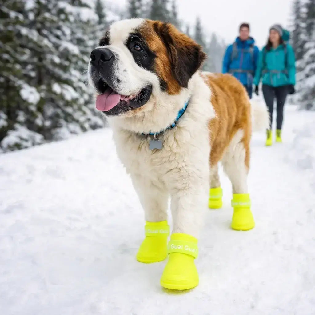 Comfort-Fit Pet Silicone Shoes | Adjustable, Waterproof, Anti Slip