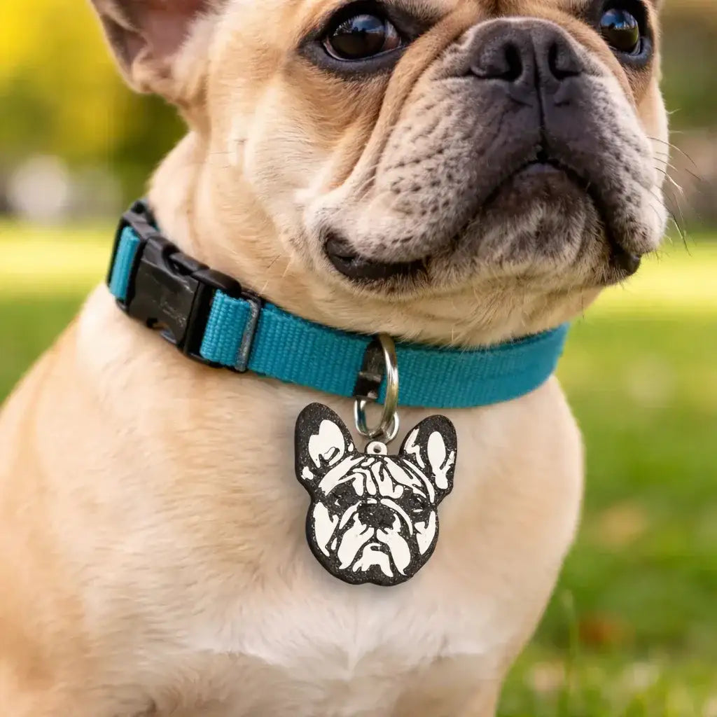 ClawMego Classic Taggo Custom Bulldog Pet Tag