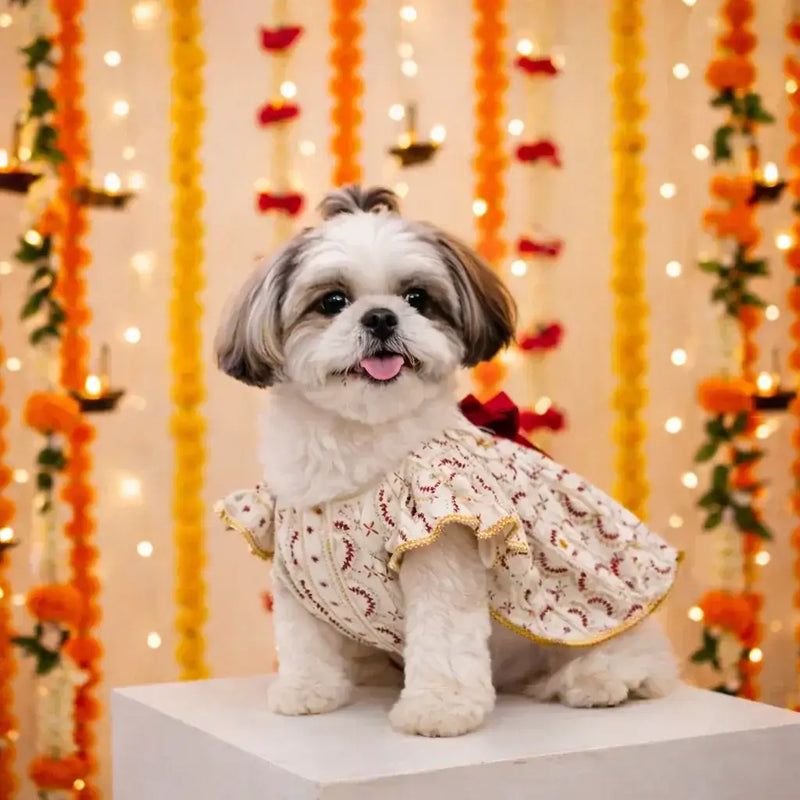 Clawmego Ivory Heritage Pet Lehenga Dress with Bow - Clawmego