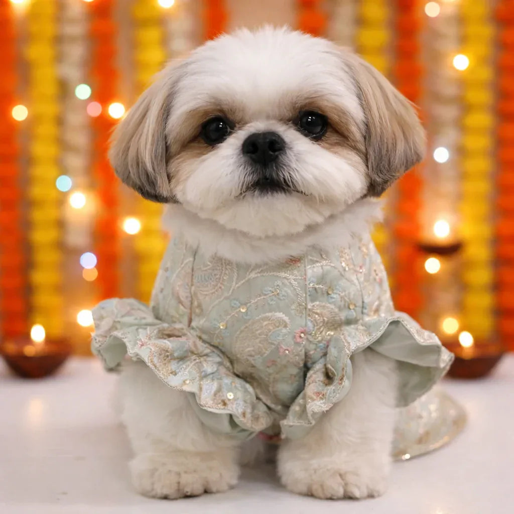 Clawmego Mint Pastel Pet Lehenga Set – Festive Comfort Fit Dress - Clawmego