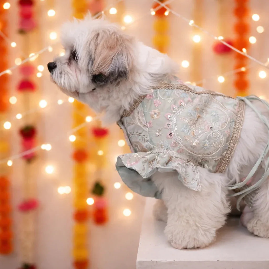 Clawmego Mint Pastel Pet Lehenga Set – Festive Comfort Fit Dress - Clawmego