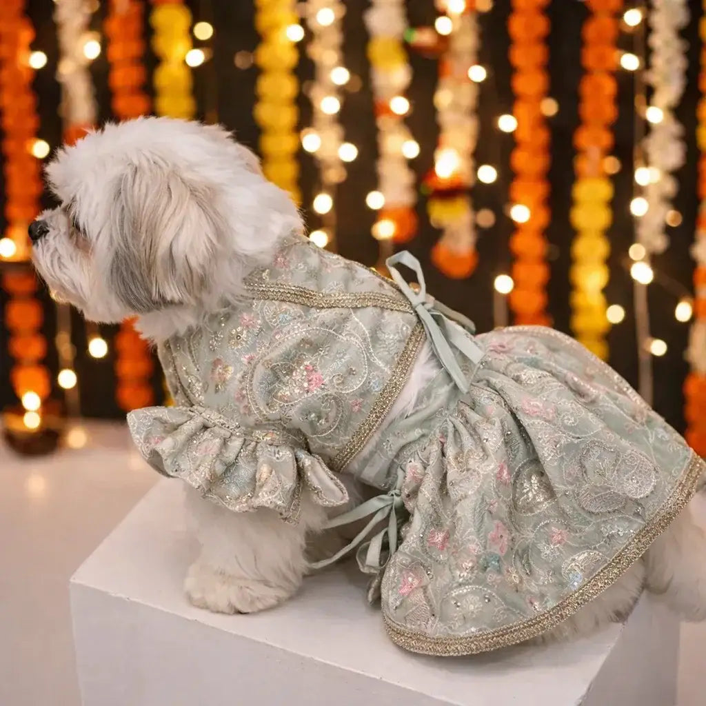 Clawmego Mint Pastel Pet Lehenga Set – Festive Comfort Fit Dress - Clawmego