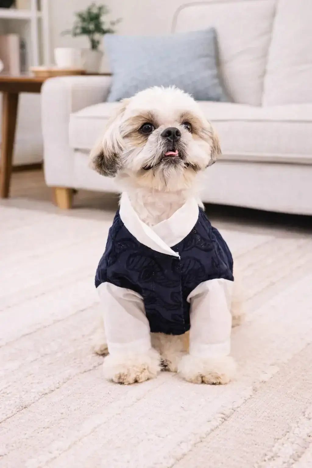 Clawmego Navy Blue Dog Kurta – Comfort Fit Festive Wear - Clawmego