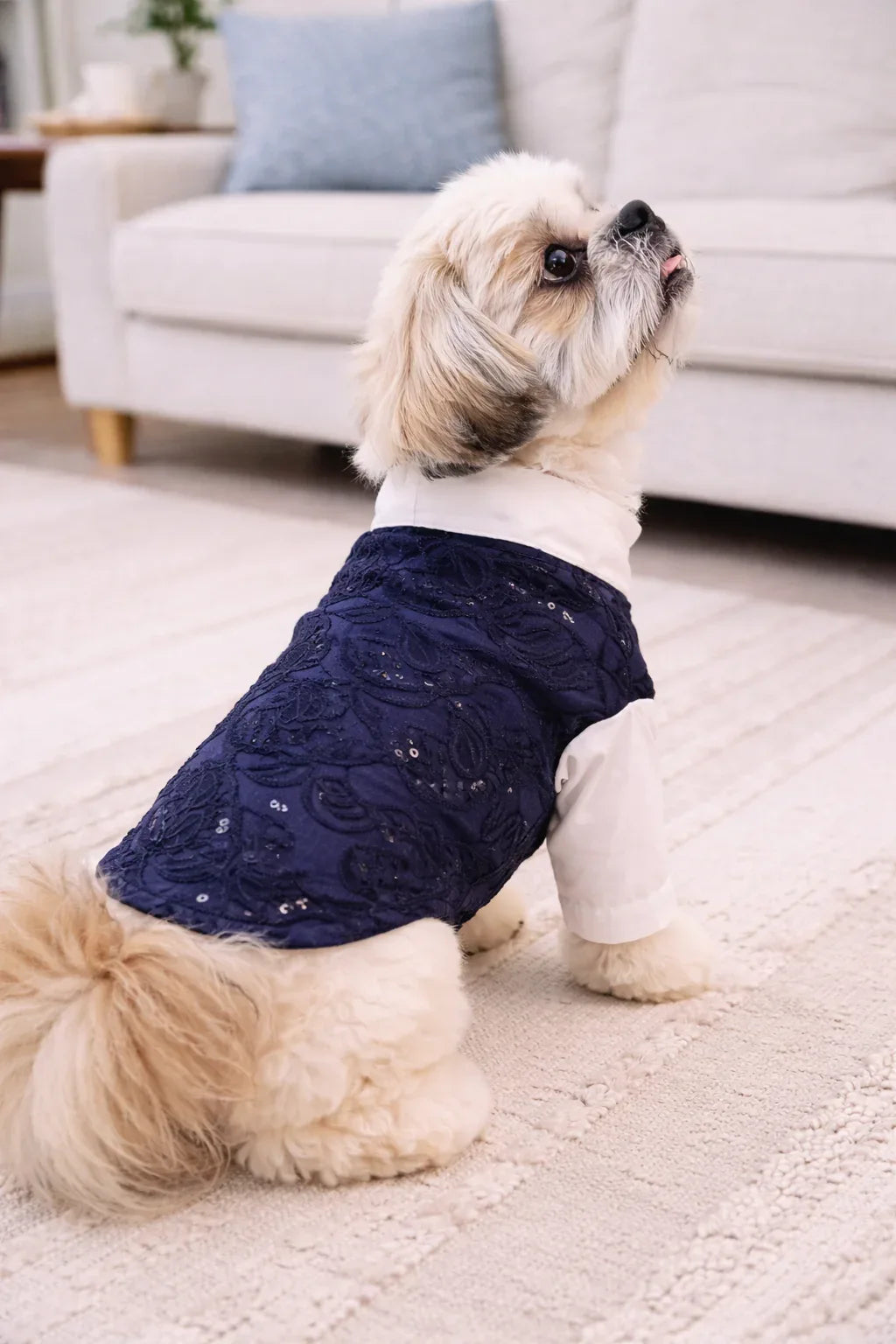 Clawmego Navy Blue Dog Kurta – Comfort Fit Festive Wear - Clawmego