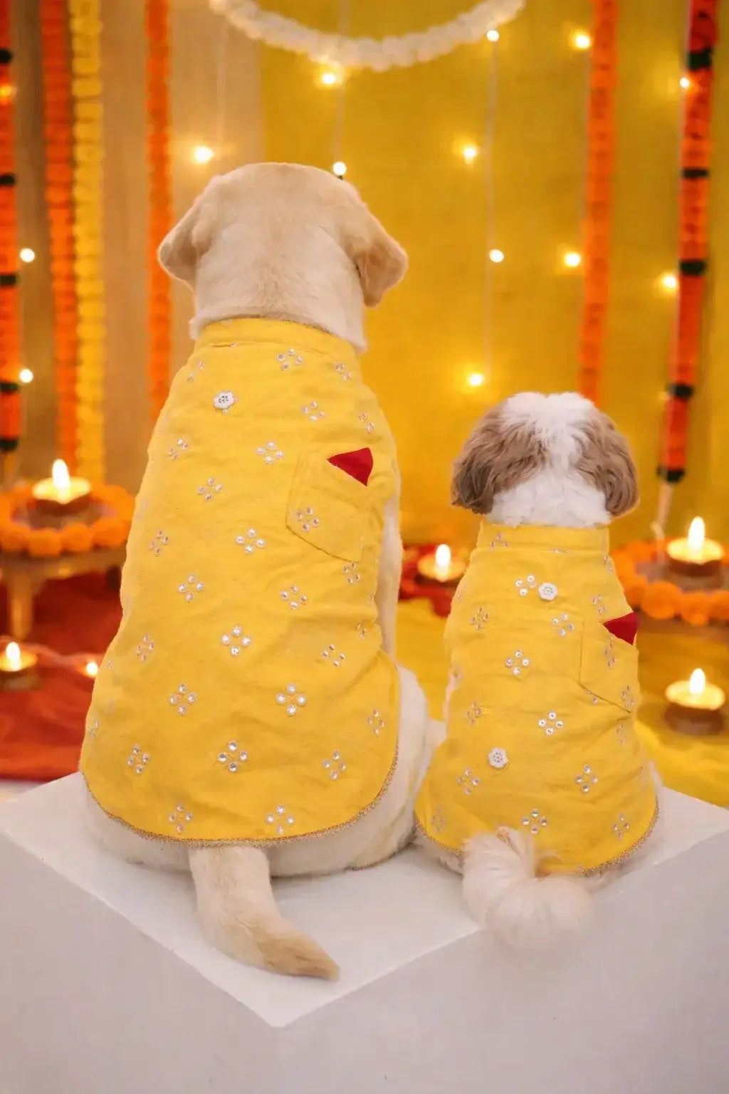 Clawmego Yellow Blossom Dog Kurta – Festive Comfort Fit Pet Outfit - Clawmego