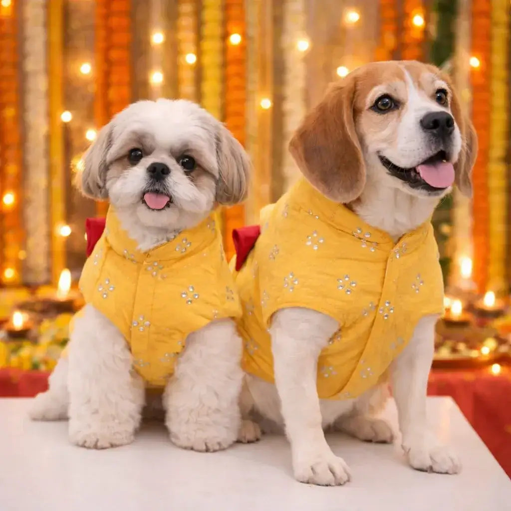 Clawmego Yellow Blossom Dog Kurta – Festive Comfort Fit Pet Outfit - Clawmego
