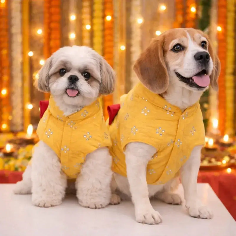 Clawmego Yellow Blossom Dog Kurta – Festive Comfort Fit Pet Outfit - Clawmego