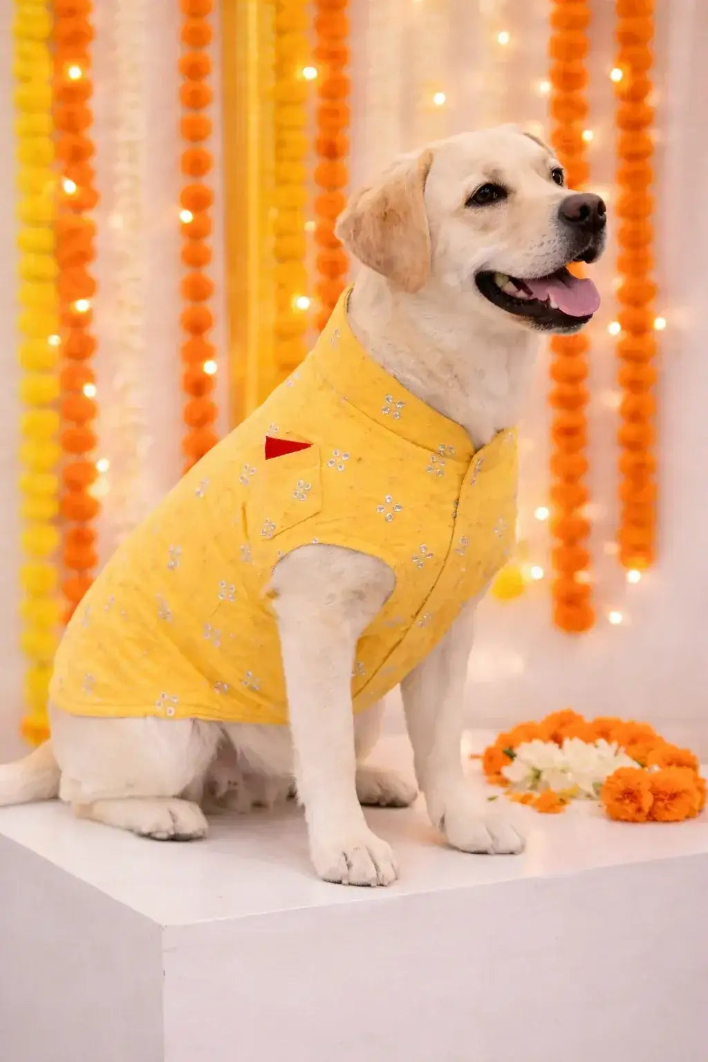Clawmego Yellow Blossom Dog Kurta – Festive Comfort Fit Pet Outfit - Clawmego