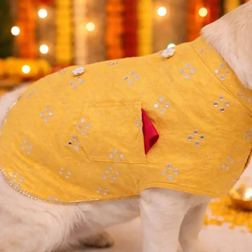 Clawmego Yellow Blossom Dog Kurta – Festive Comfort Fit Pet Outfit - Clawmego