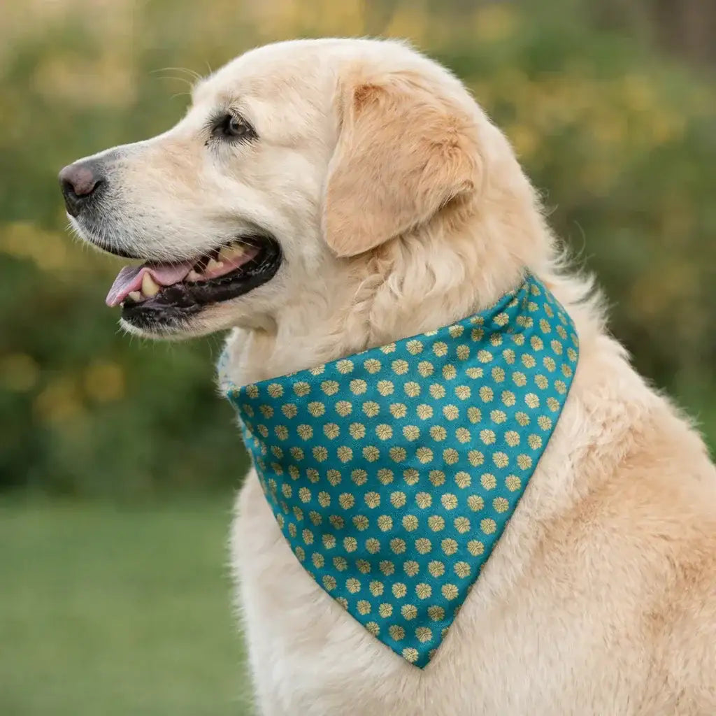 Clawmego Bandana for Dog_Gold Motif Print- Blue