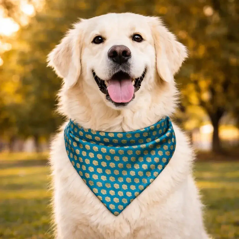 Clawmego Bandana for Dog_Gold Motif Print- Blue