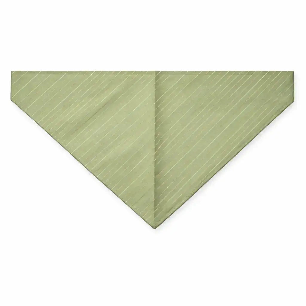 Clawmego Bandana for Dogs_Elegant Designer_Green