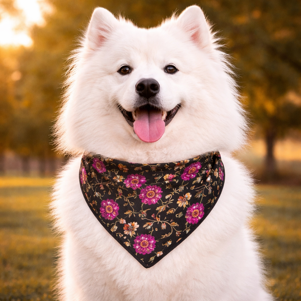 Clawmego Bandana for Dogs_Elegant floral in black
