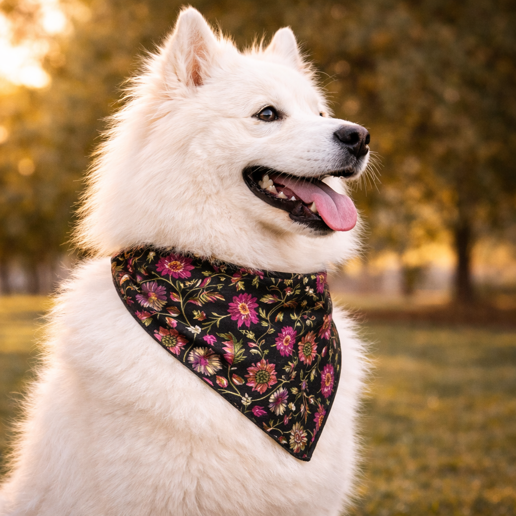 Clawmego Bandana for Dogs_Elegant floral in black