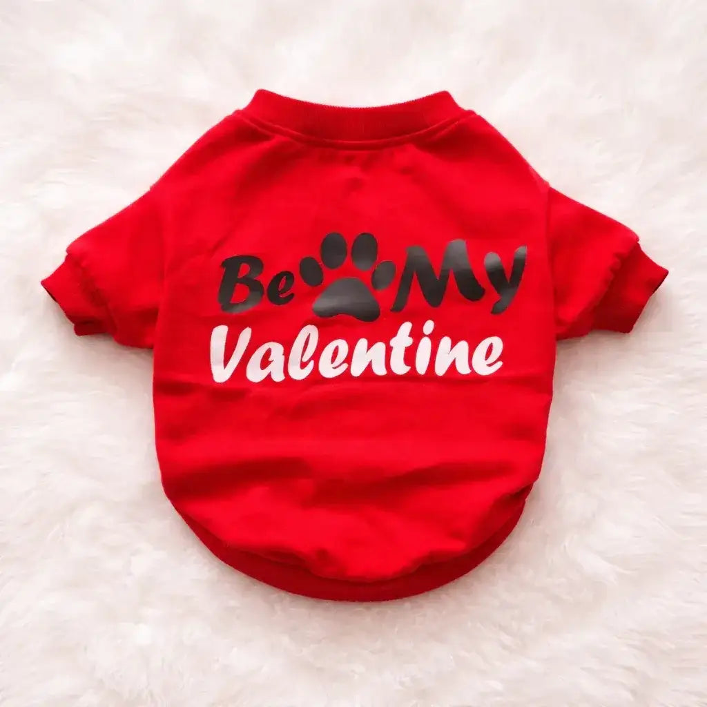 Clawmego Be My Valentine Pet Sweatshirt – Red Dog & Cat Shirt