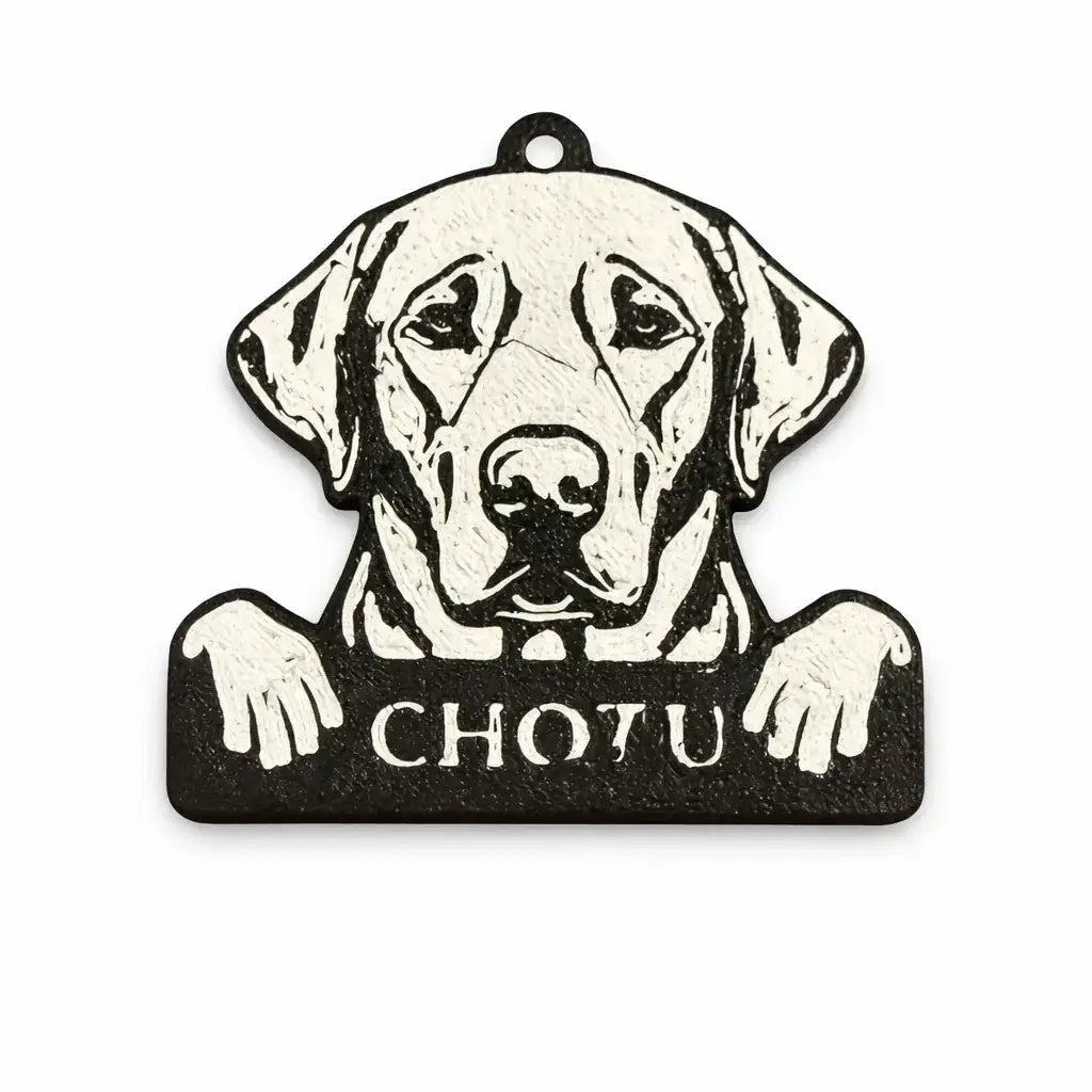 Clawmego Classic Taggo Custom Labrador dog pet tag