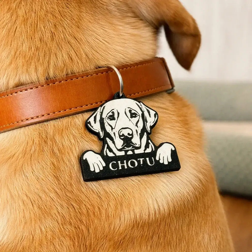 Clawmego Classic Taggo Custom Labrador dog pet tag