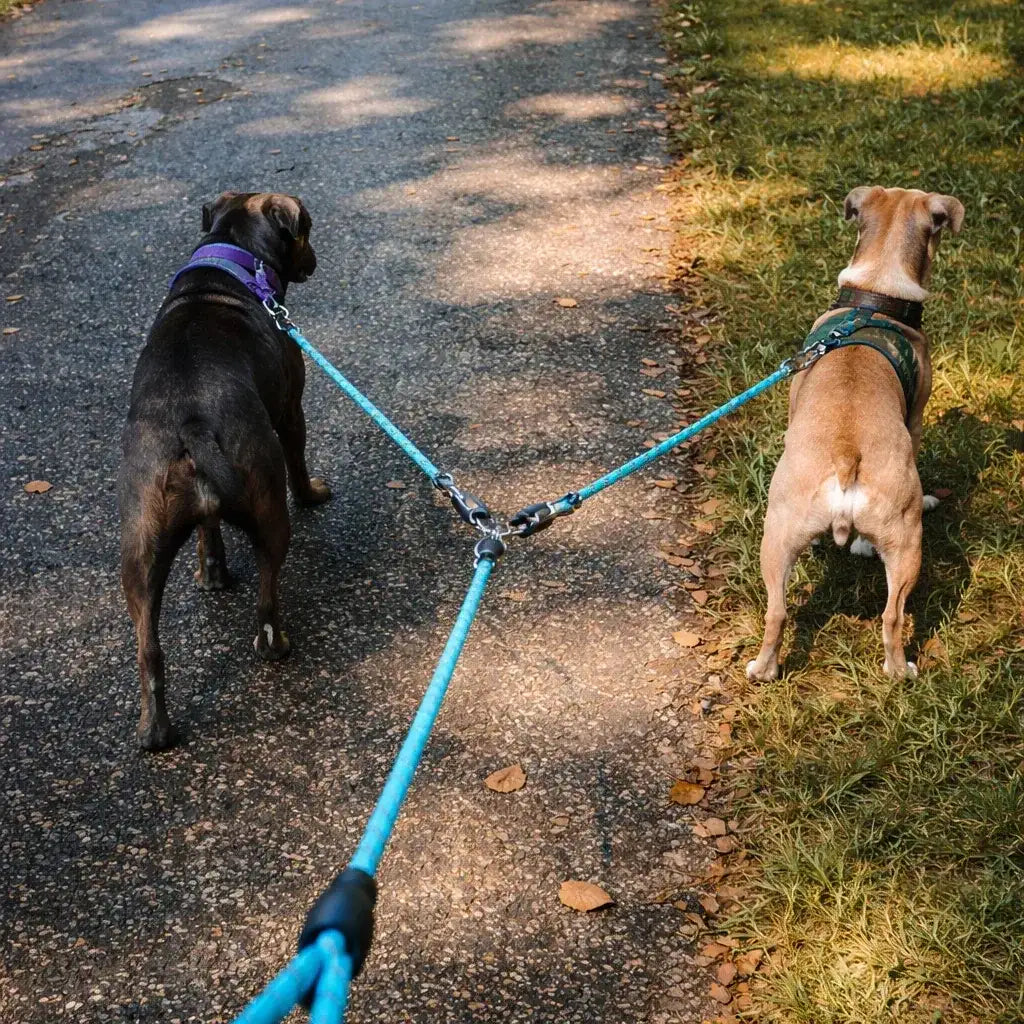 Clawmego Heavy Duty Dual Dog Leash – Rope for Two Dogs