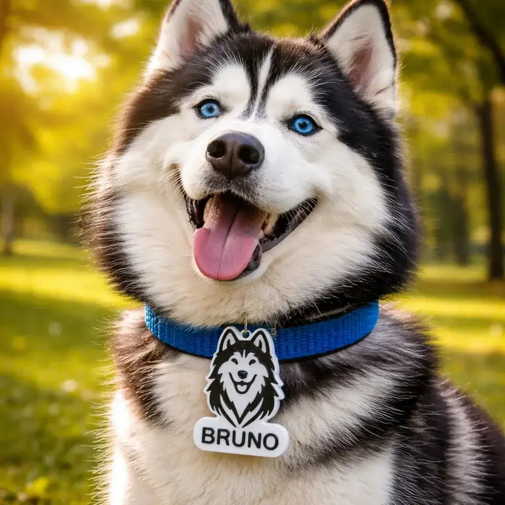 Clawmego NFC Taggo Custom Husky dog pet-ID tag